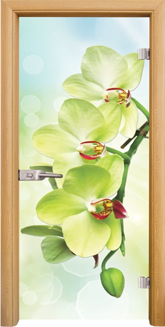 Стъклена Врата Standart Print G 13-3 Green Светъл Дъб