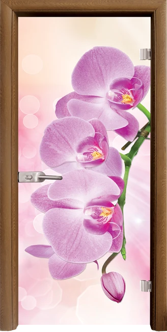 Стъклена Врата Standart Print G 13-3 Pink Златен Дъб