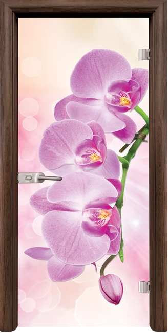 Стъклена Врата Standart Print G 13-3 Pink Орех