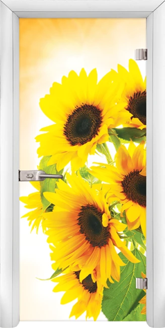 Стъклена Врата Standart Print G 13-4 Бял